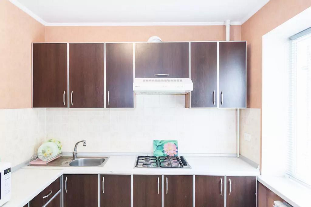 Apartment In Zaporozhye. Antica Zaporizhia Exteriér fotografie